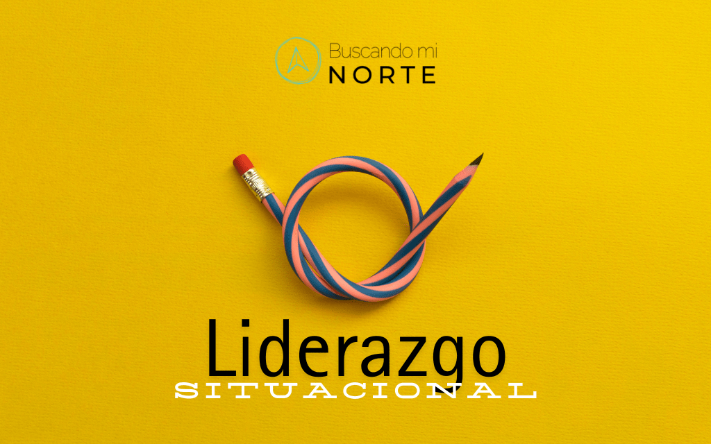 liderazgo situacional